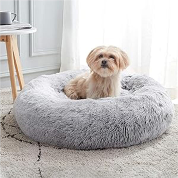 WESTERN HOME WH Calming Dog & Cat